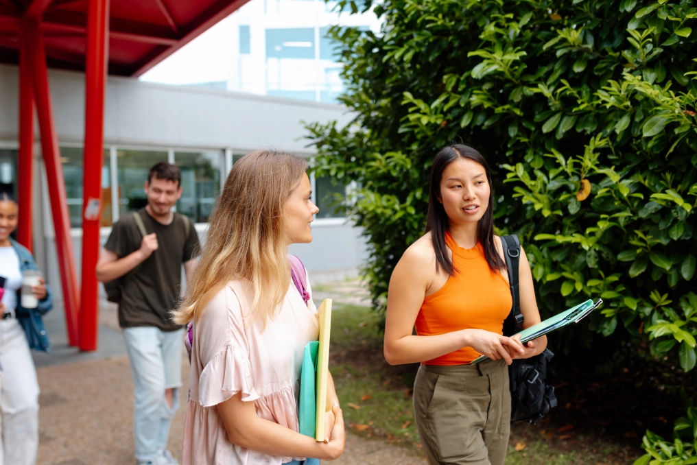 Career opportunities after BSc Business Management