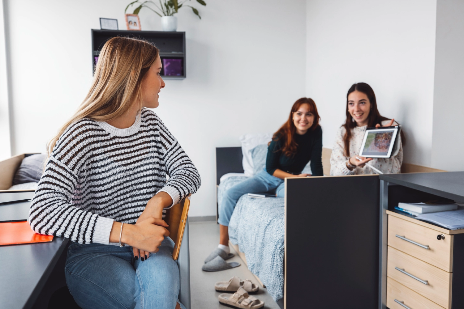 Student accommodation in Malta